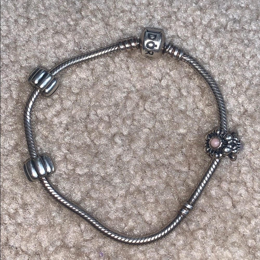 Pandora Bracelet